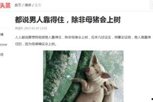 头条的搞笑领域包括什么