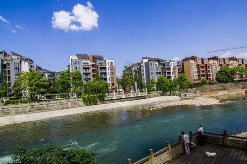 川南区最新头条