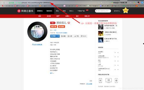 头条视频文章怎么加音乐,头条文章教你如何为视频添加背景音乐