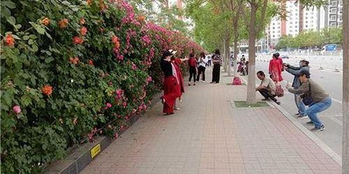 网红打花墙,创意互动引网友热议