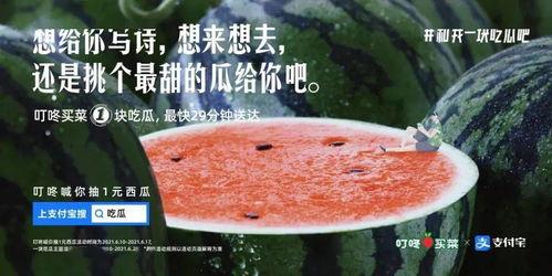 吃瓜文案素材参考,揭秘娱乐圈那些鲜为人知的幕后故事