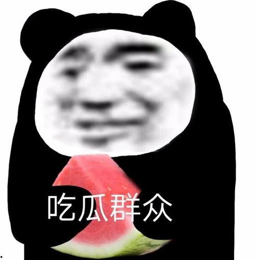 该吃哪个瓜表情包,揭秘网络流行文化的趣味与智慧