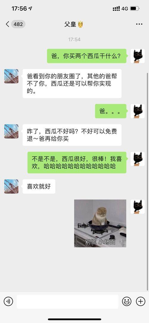 吃瓜不发朋友圈