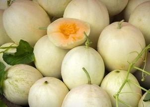 吃白兰瓜会过敏吗,食用需谨慎