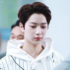 有霖的明星,闪耀星途，璀璨人生