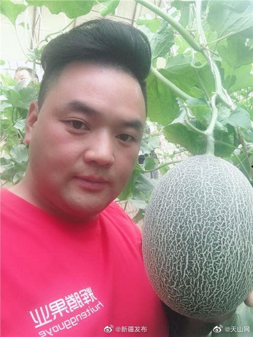 在网上吃瓜,揭秘虚拟世界的娱乐狂欢